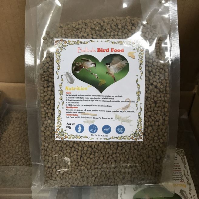 Għasafar tal-bulbul ta 'kwalità għolja jitimgħu