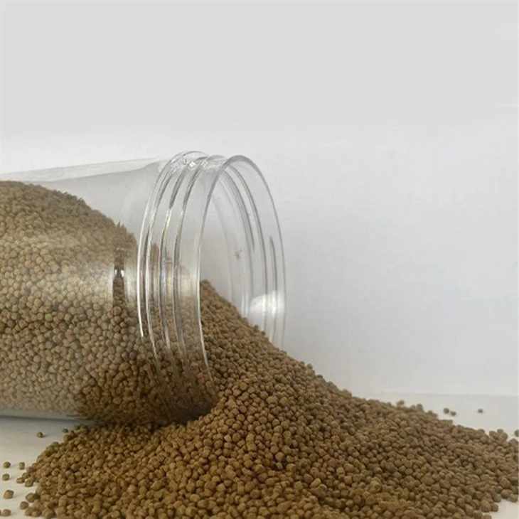 Thrushes Bird Feeds