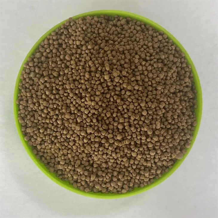 Thrushes Bird Feeds