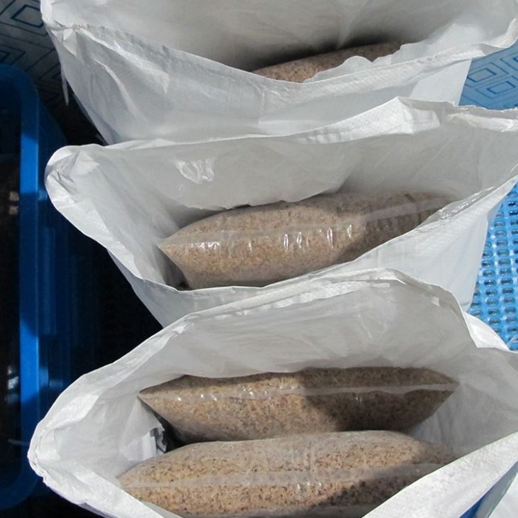 Frozen Maggots Fish Food Frozen Maggots Fish Food